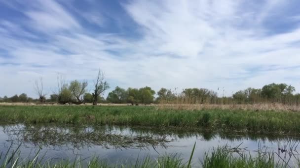 paysage avec arbres fluviaux et ciel bleu, printemps en Pologne 
