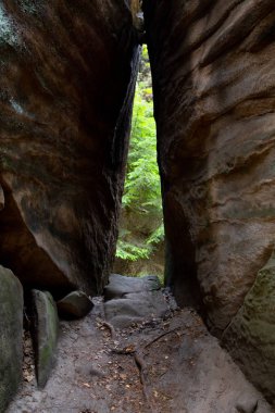 Prachovske skaly, Bohemian Paradise, tuhaf kaya oluşumları, yoğun çam ormanları benzersiz bir kombinasyonu