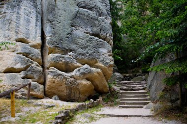 Prachovske skaly, Bohemian Paradise, tuhaf kaya oluşumları, yoğun çam ormanları benzersiz bir kombinasyonu