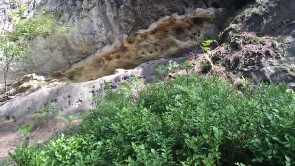 Parque Nacional Suiza Checa República Checa Paisaje Rocas Altas Vegetación — Vídeos de Stock