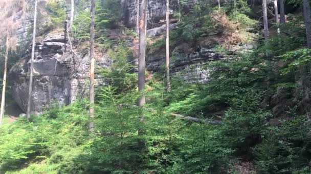 Çek Sviçre Milli Parkı Çek Cumhuriyeti Yüksek Kayalar Onları Çevreleyen — Stok video