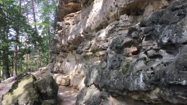 Çek Sviçre Milli Parkı Çek Cumhuriyeti Yüksek Kayalar Onları Çevreleyen — Stok video