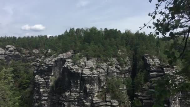 Czech Switzerland National Park República Checa Paisagem Rochas Altas Vegetação — Vídeo de Stock