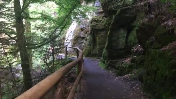 Parco Nazionale Della Svizzera Ceca Passerella Sul Fiume Tra Rocce — Video Stock