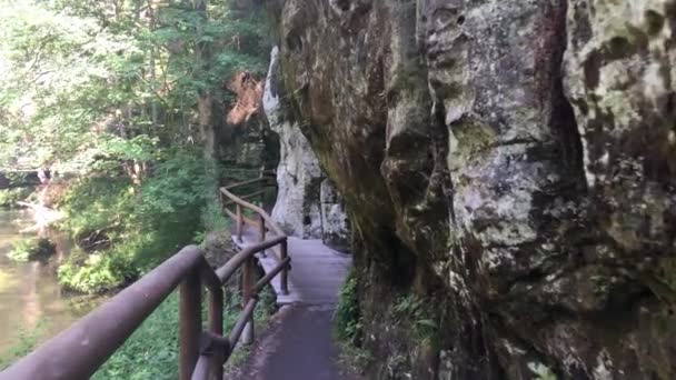 Çek Sviçre Milli Parkı Kayaların Arasında Nehir Üzerinde Yaya Köprüsü — Stok video