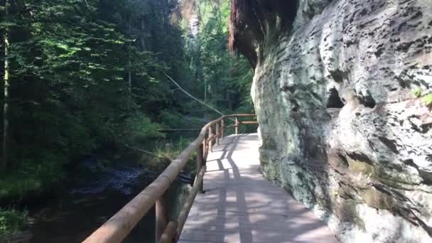 Parco Nazionale Della Svizzera Ceca Passerella Sul Fiume Tra Rocce — Video Stock