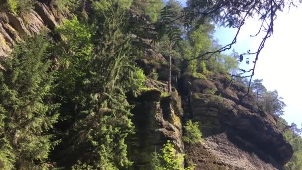 Cascata Nella Foresta Parco Nazionale Della Svizzera Boema — Video Stock