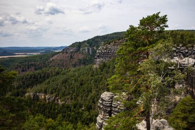 Kayadaki ağaç, Pravcicka Brana, Poznaj wymow Çek İsviçre Milli Parkı. Kumtaşı oluşumları, vahşi vadileri ve donmuş şelaleleri ile ünlü bir milli park.