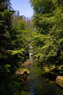 ormanda nehir, Çek İsviçre Milli Parkı Kumtaşı oluşumları, vahşi vadiler ve donmuş şelaleler ile ünlü bir milli park.