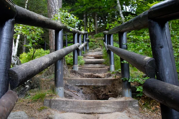 Pasarela Ruta Turística Entre Rocas Árboles Parque Nacional Suiza Checa —  Fotos de Stock