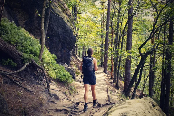 Joven Turista Sendero Con Una Gran Mochila Parque Nacional Suiza —  Fotos de Stock