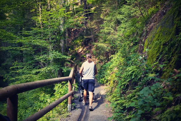 Een Man Met Een Kinderwagen Toeristische Route Nationaal Park Tsjechisch — Stockfoto