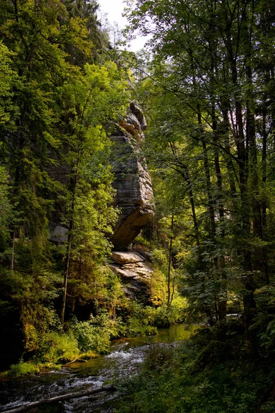 Path on the tourist route among rocks and trees.Czech Switzerland National Park. A national park famous for its sandstone formations, wild valleys and frozen waterfalls