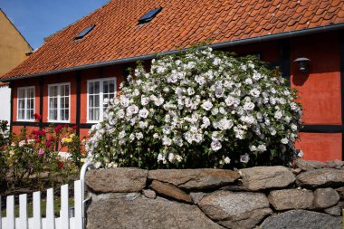 Svaneke, Bornholm 'deki renkli evler