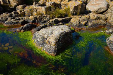 Baltık Denizi 'ndeki Bornholm adasının kayalık kıyıları Bornholm adasında yeşil çizgili taş.