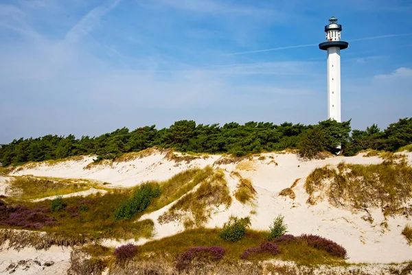 Dueodde Deniz Feneri, Bornholm, Danimarka, Baltık Denizi 'nde kum tepeleri, turist kadın
