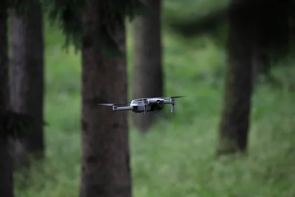 Een Drone Vliegend Het Park Tussen Bomen — Stockfoto
