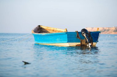deniz, ağ, yaz, balık, su, tekne