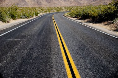 Joshua Tree Milli Parkı'nda ıssız bir yol.  