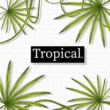 Tropikal Yaz tatili temalı vektör arka plan görüntüsü