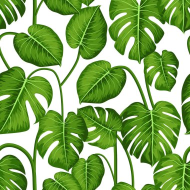 Monstera. Tropikal yaprakları ile dikişsiz desen. Dikişsiz vektör arka plan kart, kartpostal, poster, duvar kağıdı, tekstil tasarımı, kapak, afiş için kullanılabilir.