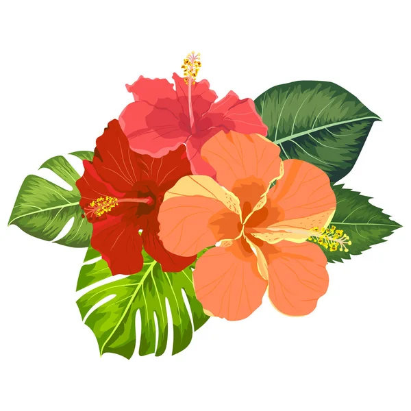 Conjunto de elementos de flores tropicales. Colección de flores de hibisco sobre fondo blanco. Paquete de ilustración vectorial . — Vector de stock