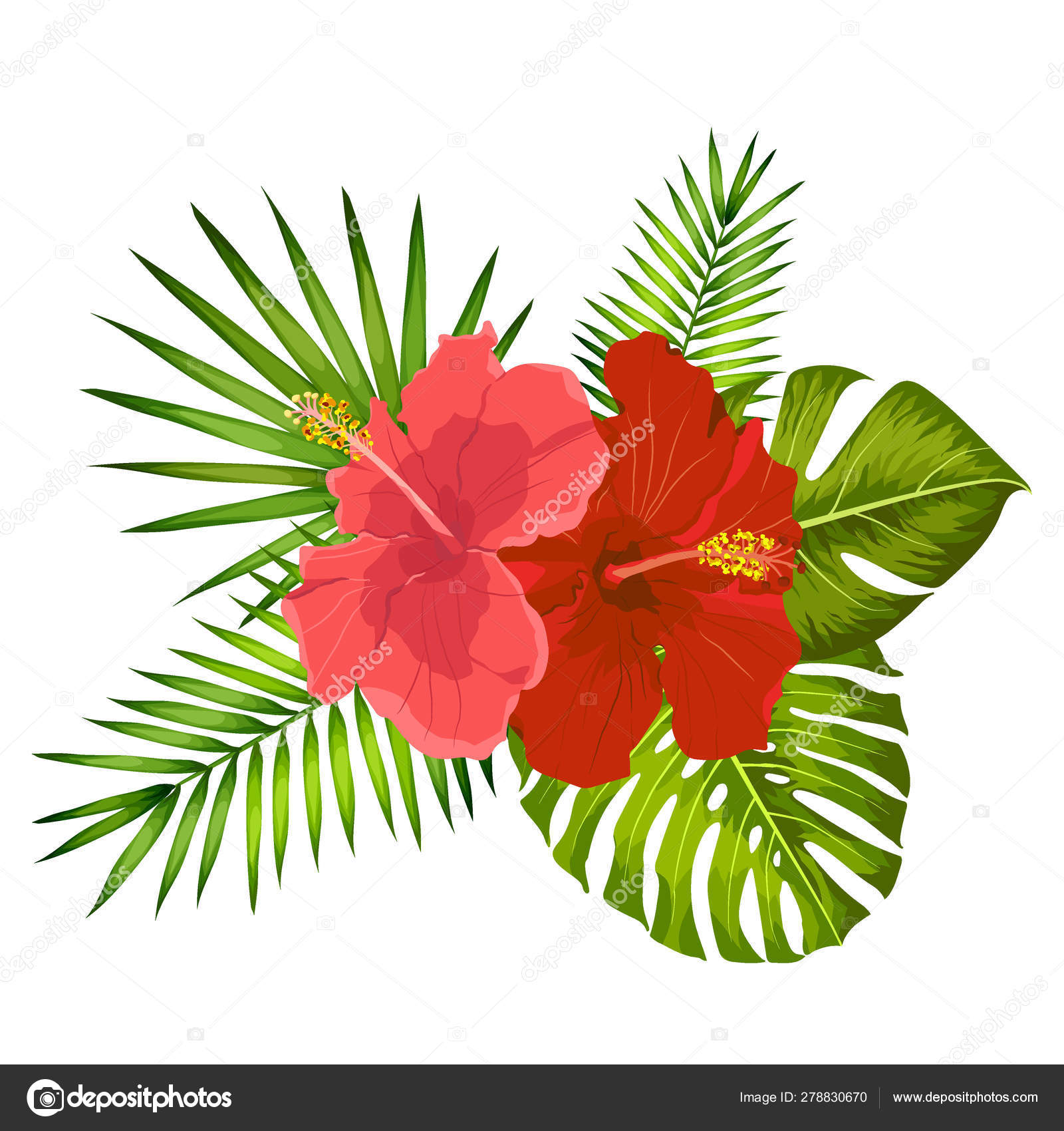 Collection Exotic Tropical Leaves Rhopalostylis Rhapis Stock Vector  (Royalty Free) 2078963941