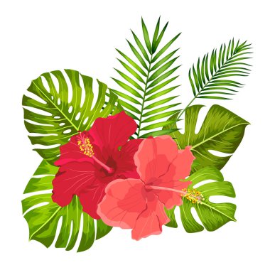 Güzel vektör tropikal buket. Hibiscus ve monstera yaprakları. Egzotik çiçekler ve Palmiye yaprakları.