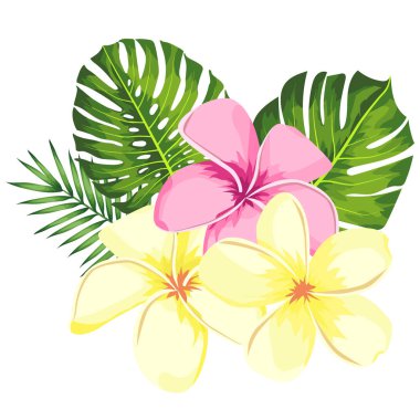 Tropikal vektör pembe plumeria çiçekler, dalları ve çiçek kartı illüstrasyon için ayarlanmış yaprakları. Egzotik Yaprak beyaz arka plan üzerinde izole ile Çiçek Buketi. Partiye veya tatile davet için öğeler