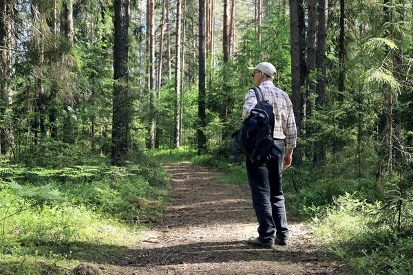 在夏日阳光明媚的日子里 一个背负重任的年轻人慢慢地沿着一条无人居住的森林小径走着 — 图库照片