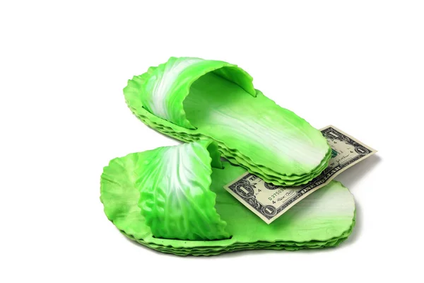 Pantofole Gomma Verde Nello Stile Delle Foglie Cavolo Dollaro Concetto — Foto Stock