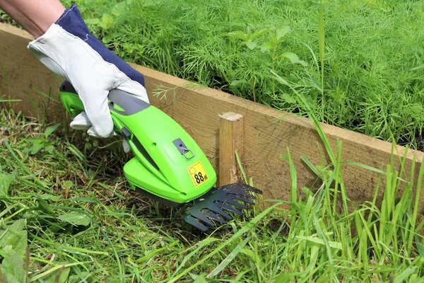 Nahaufnahme Der Hand Ledernem Gartenhandschuh Hält Einen Elektrischen Handtrimmer Und — Stockfoto