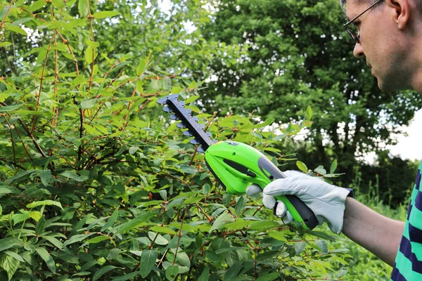 Der Mensch Arbeitet Garten Seiner Lederhandschuhten Hand Hält Eine Tragbare — Stockfoto