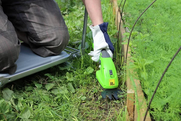 Mann Arbeitet Gemüsegarten Kniet Auf Gartenstuhl Und Schneidet Weg Neben — Stockfoto