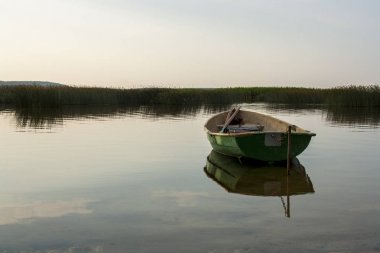 Sabah güneşinde tahta tekneler Drivyaty Gölü 'nün kumlu kıyısında. Braslav göllerinin doğası.