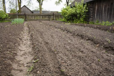 Bahar bitkilerinin bahçesinde çalışıyorum.