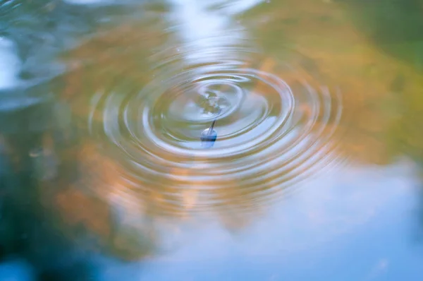 Wave water reflection from tadpole background — Stock Photo, Image