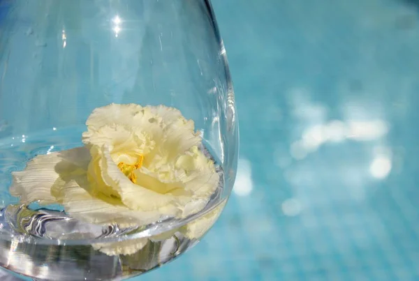 Relax near the pool with a glass