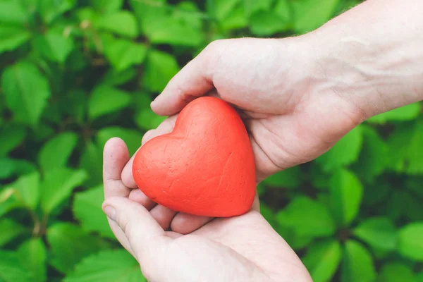 Szerelem fogalma-közelről mans kezében tartja vörös szív — Stock Fotó
