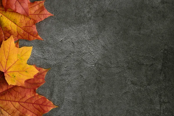 Autumn composition. Autumn frame of maple leaves. Flat lay, top view — Stock Photo, Image