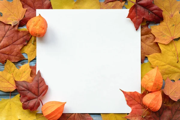 Herbstzusammensetzung aus Ahornblättern und quadratischem weißem Papier. flache Lage, Draufsicht — Stockfoto