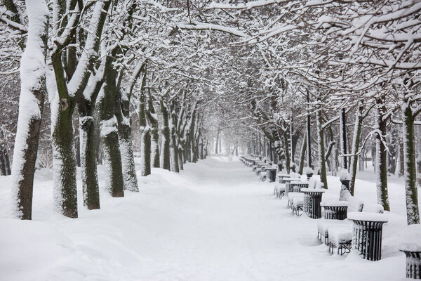 Avenue with trees during snowstorm at winter in Moscow, Russia. Scenic view of a snowy city street. Moscow snowfall background. Cold silent town alley in winter.