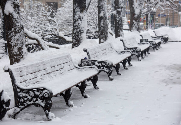 Avenue with a row of benches during strong wind and snowstorm at winter in Moscow, Russia. Scenic view of a snowy city street. Moscow snowfall background.