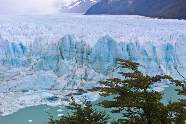 Los Glaciares Milli Parkı içinde Santa Cruz Eyaleti, Arjantin için yer bir buzul Perito Moreno Buzulu olduğunu. — Stok fotoğraf