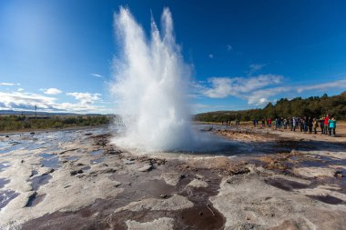 Strokkur Şofben erüpsiyon. Sıcak su, patlama. Altın daire. İzlanda.