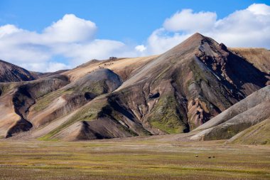Güzel renkli volkanik dağlar Landmannalaugar İzlanda, yaz saati ve güneşli bir gün. Muhteşem ve unutulmaz İzlanda. Kuzey Avrupa