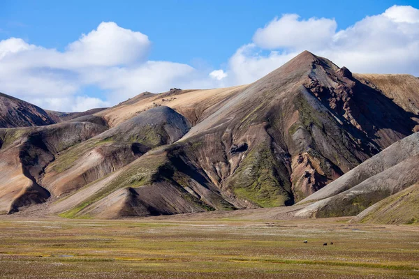 Belas montanhas vulcânicas coloridas Landmannalaugar na Islândia, hora de verão e dia ensolarado. Magnífica e inesquecível Islândia. Norte da Europa — Fotografia de Stock