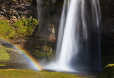 İzlanda'daki Seljalandsfoss şelale harika manzarasını. Gökkuşağı ve yeşil manzara ile yaz aylarında güneş ışığı gün. Rota numarasını bir ünlü dönüm noktası.