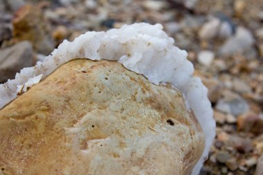 Dead Sea 'de ölü deniz tuzu taşları ve kristaller. Makro fotoğraf. İsrail