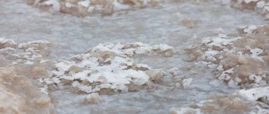 Dead Sea 'de ölü deniz tuzu taşları ve kristaller. Makro fotoğraf. İsrail
